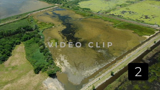 CLIP 2 - South Carolina Ricefields Vol 4. - Estherville Plantation