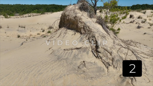 CLIP 2 - Outer Banks, NC natural sand dune formations