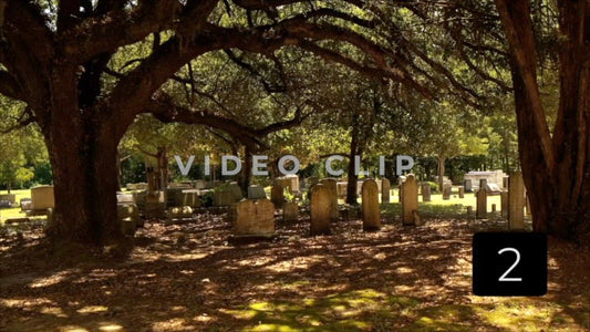 CLIP 2 - Indiantown Presbyterian Church cemetery with live oak trees