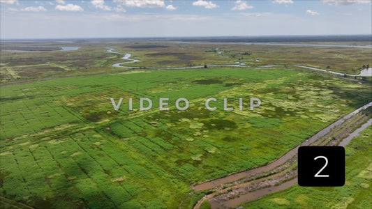 CLIP 2 - South Carolina Ricefields Vol 1. - Santee River Delta
