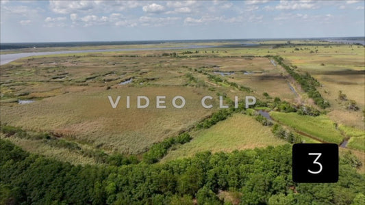 CLIP 3 - South Carolina Ricefields Vol 2. - Pee Dee Waccamaw Confluence