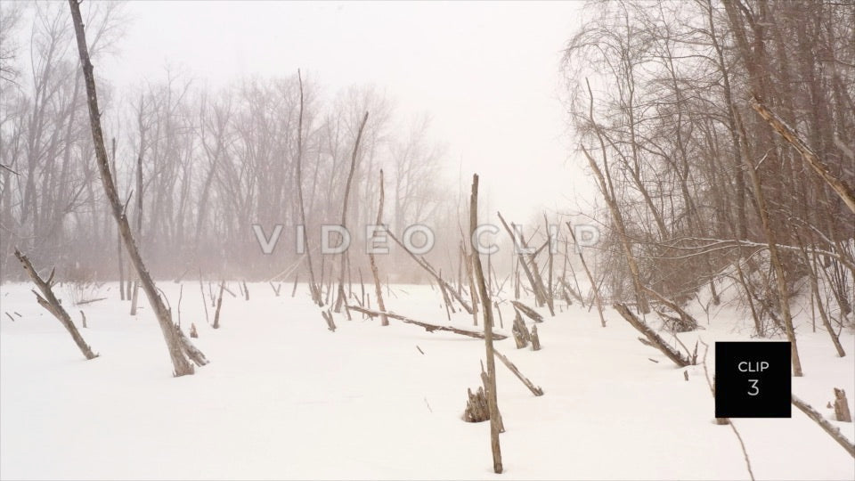 CLIP 3 - Erie Canal Vol. 5