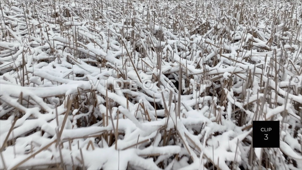 CLIP 3 - Erie Canal Vol. 8