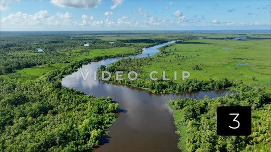 CLIP 3 - New Orleans, LA Vol. 3 - Segnette bayou low flight over wetlands