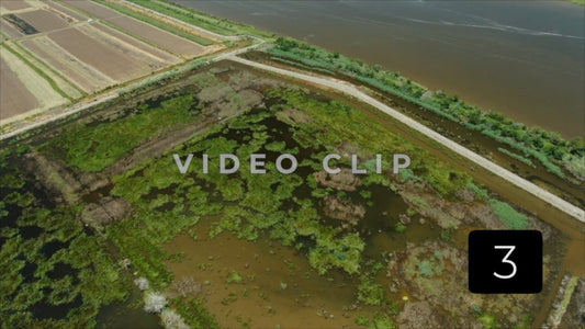 CLIP 3 - South Carolina Ricefields Vol 4. - Estherville Plantation