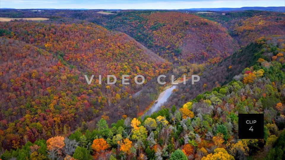 CLIP 4 - Pennsylvania Grand Canyon rising above trees to reveal Pine Creek below