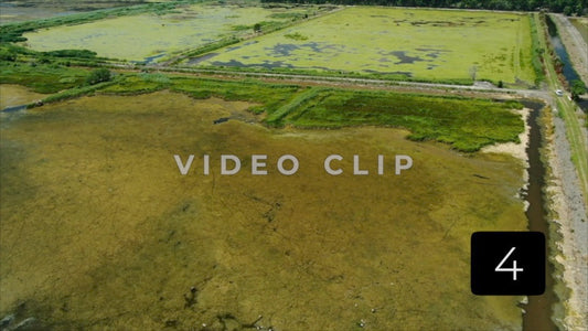 CLIP 4 - South Carolina Ricefields Vol 4. - Estherville Plantation