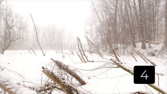 CLIP 4 - Winter Vol. 4 - Winter snow falls over frozen lake in nature area