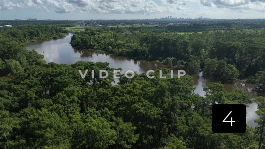 CLIP 4 - New Orleans, LA Vol. 3 - Segnette bayou tree top flying with city skyline in distance