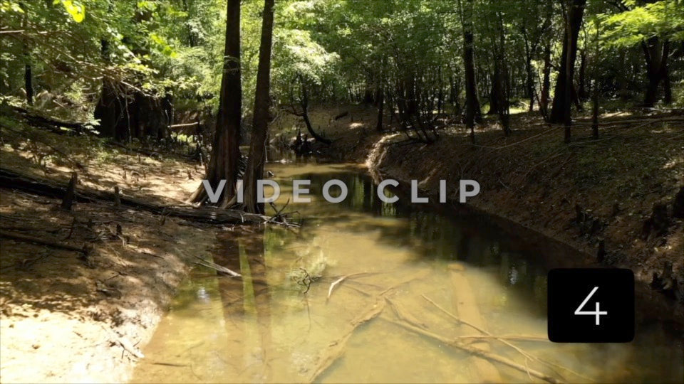 CLIP 4 - Francis Marion National Forest, SC