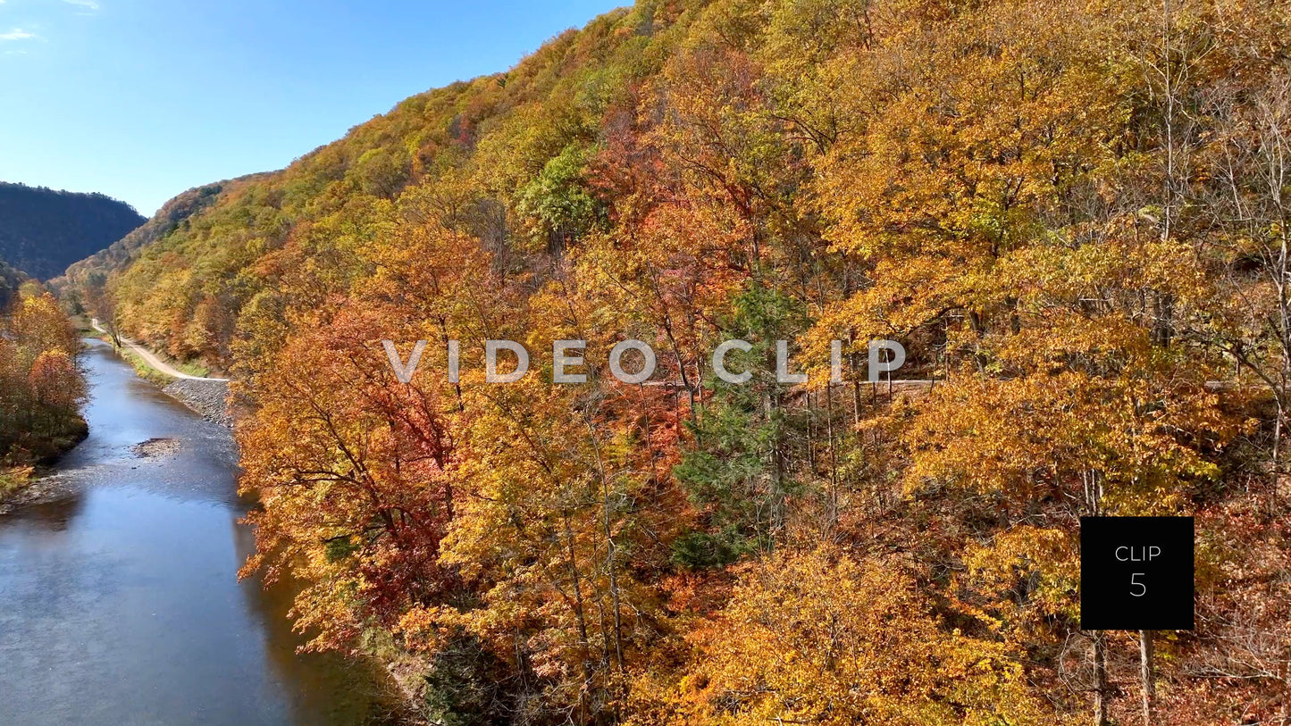 CLIP 5 - Pennsylvania Grand Canyon, PA rise up to view trees beside pine creek
