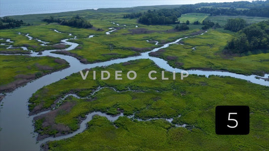 CLIP 5 - Woodland Beach, DE
