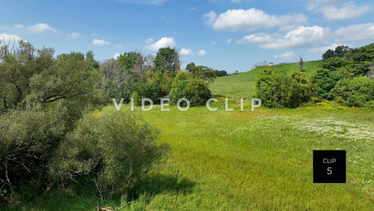 stock video rolling hills