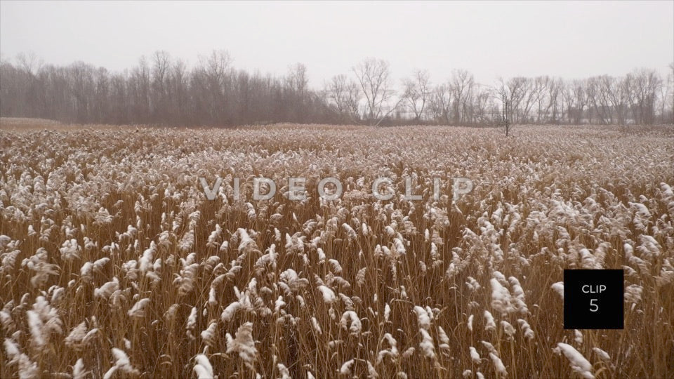 CLIP 5 - Erie Canal Vol. 8