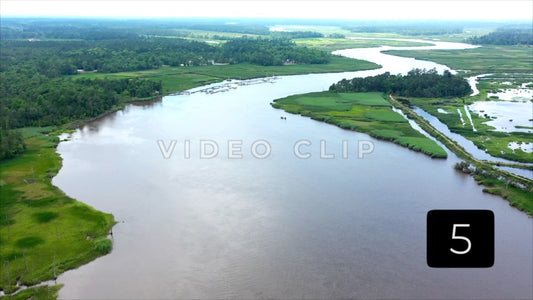 CLIP 5 - South Carolina Ricefields Vol 6. - Sampit River