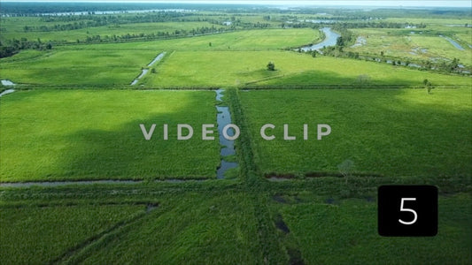 CLIP 5 - South Carolina Ricefields Vol 5. - Samsworth Plantation