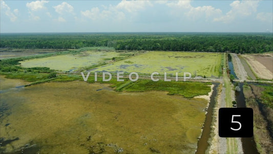 CLIP 5 - South Carolina Ricefields Vol 4. - Estherville Plantation