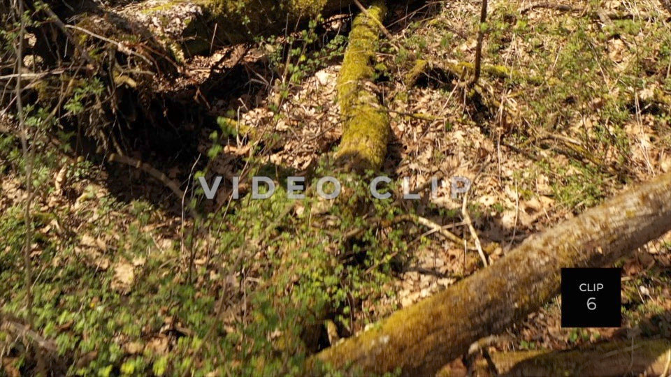 CLIP 6 - Erie Canal Vol. 5 - Montezuma