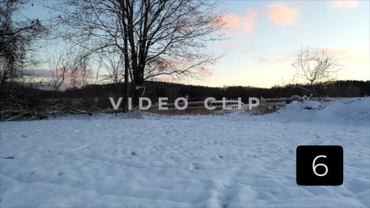 CLIP 6 - Winter Vol. 2 - Horses in pasture on farm during Winter at sunset