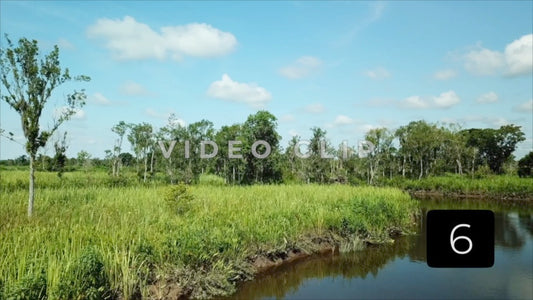 CLIP 6 - South Carolina Ricefields Vol 5. - Samsworth Plantation