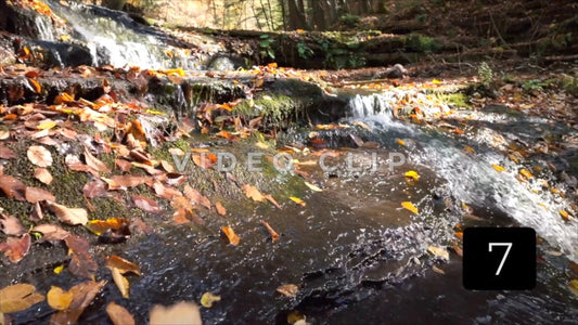 CLIP 7 - Waterfall Serenity