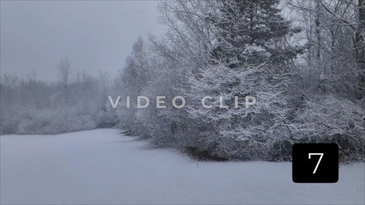 CLIP 7 - Winter Vol. 1 - Ice in Tree branches during snow fall