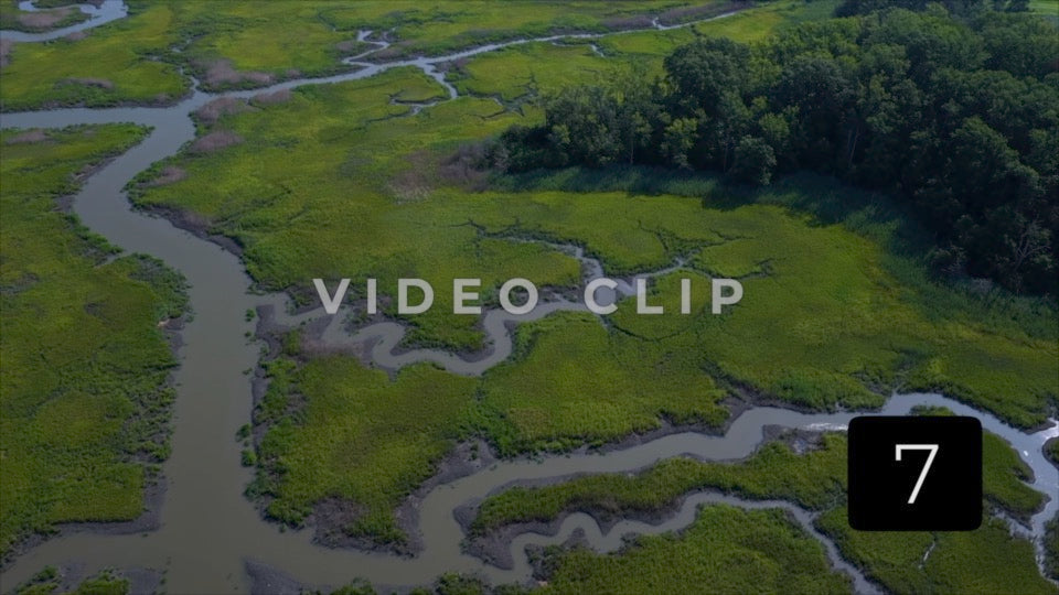 CLIP 7 - Woodland Beach, DE