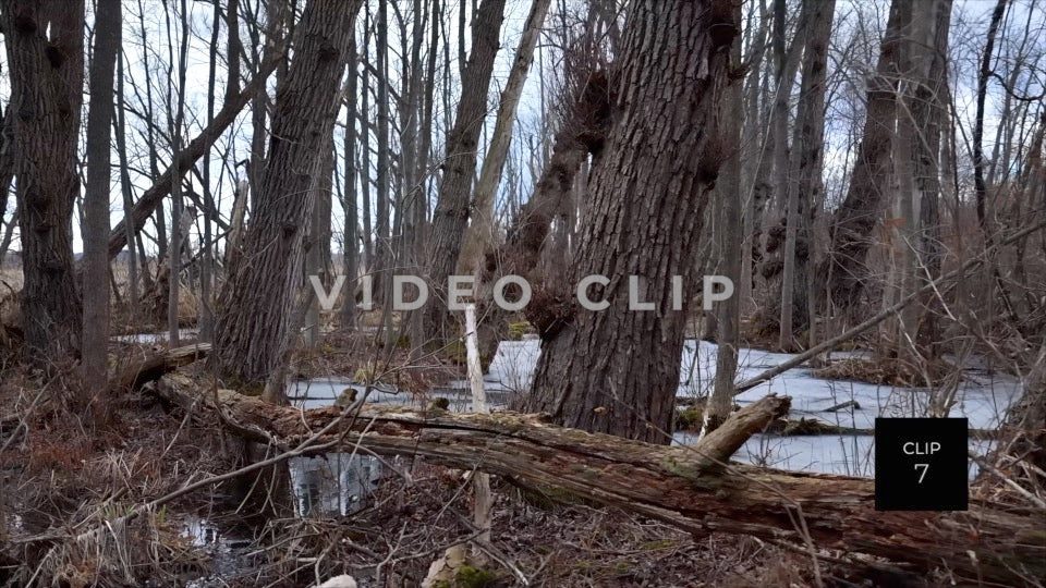 CLIP 7 - Erie Canal Vol. 4