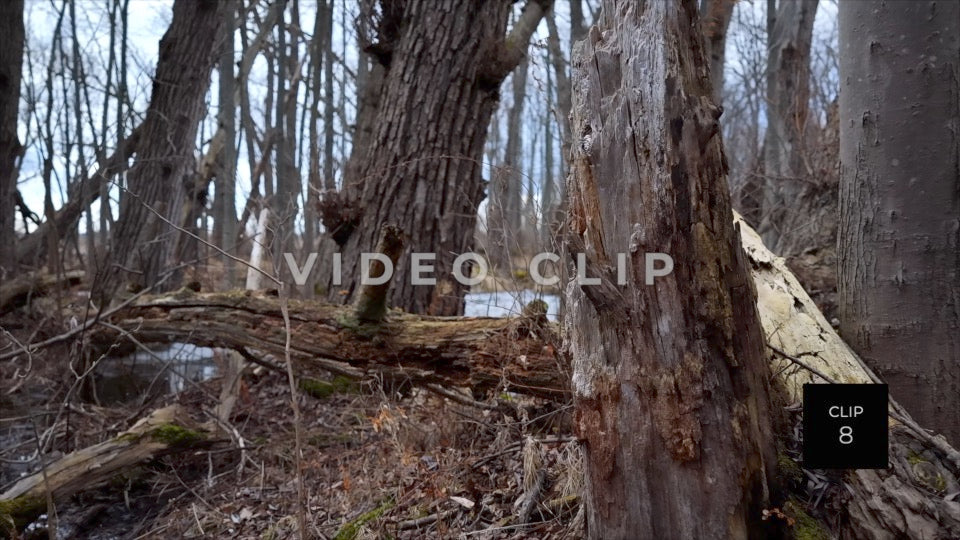 CLIP 8 - Erie Canal Vol. 4