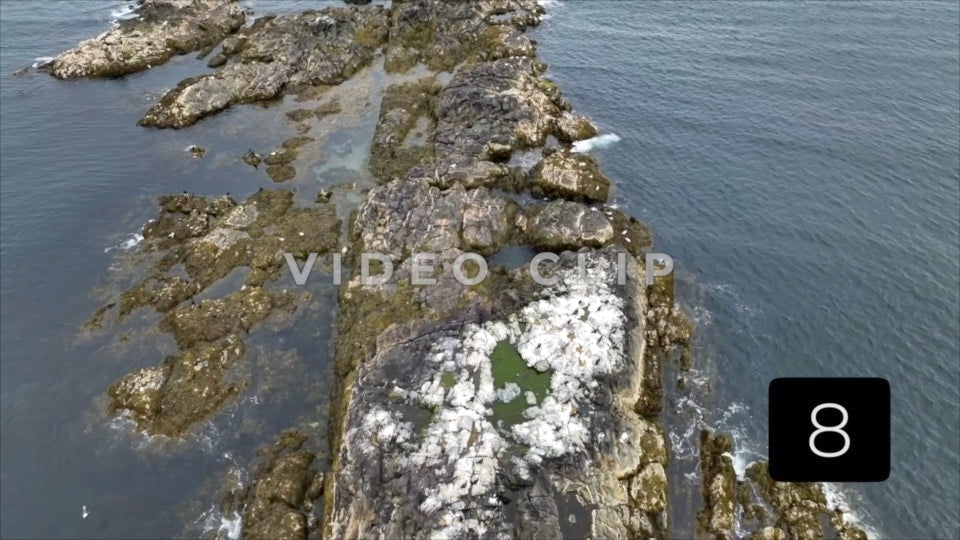 CLIP 8 - Low flight over rocky island with wildlife in Massachusetts Bay