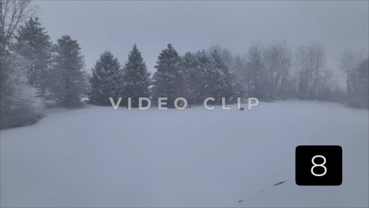 CLIP 8 - Winter Vol. 1 - Person walking dogs in public park while snow falls