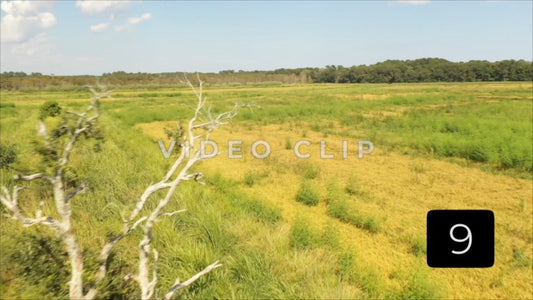 CLIP 9 - South Carolina Ricefields Vol 3. - White House Plantation