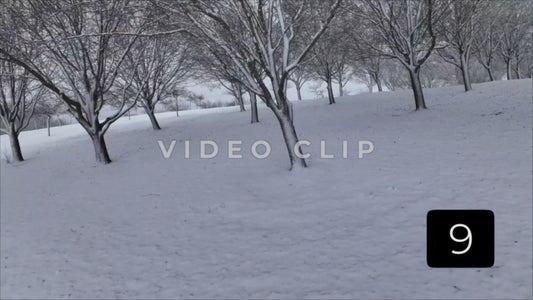 CLIP 9 - Winter Vol. 1 - Slow flight towards frozen tree orchard