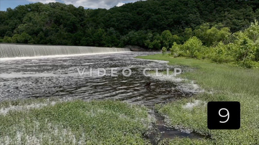 CLIP 9 - Lynchburg, VA Vol. 2 - green grassy shoreline below waterfall dam