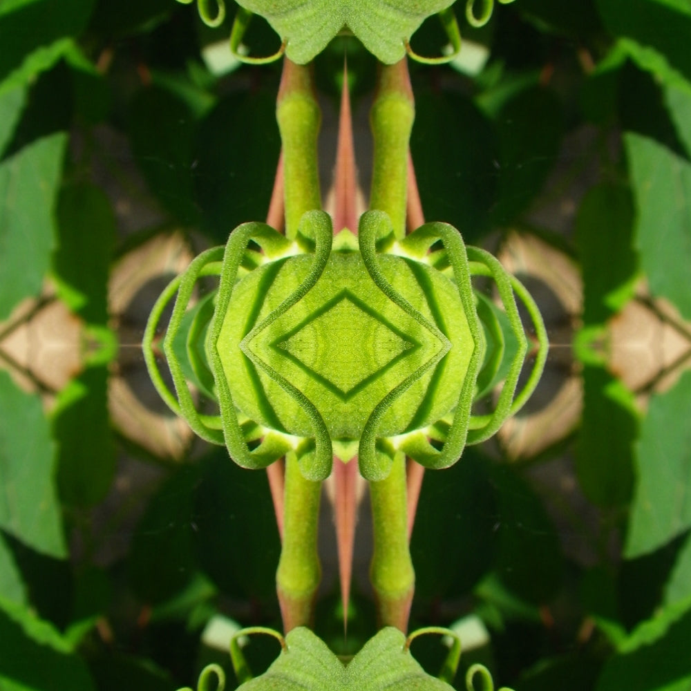 Green Diamond