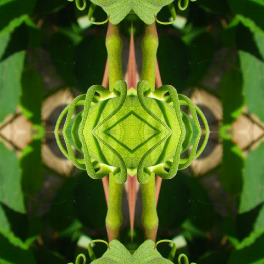 Green Diamond