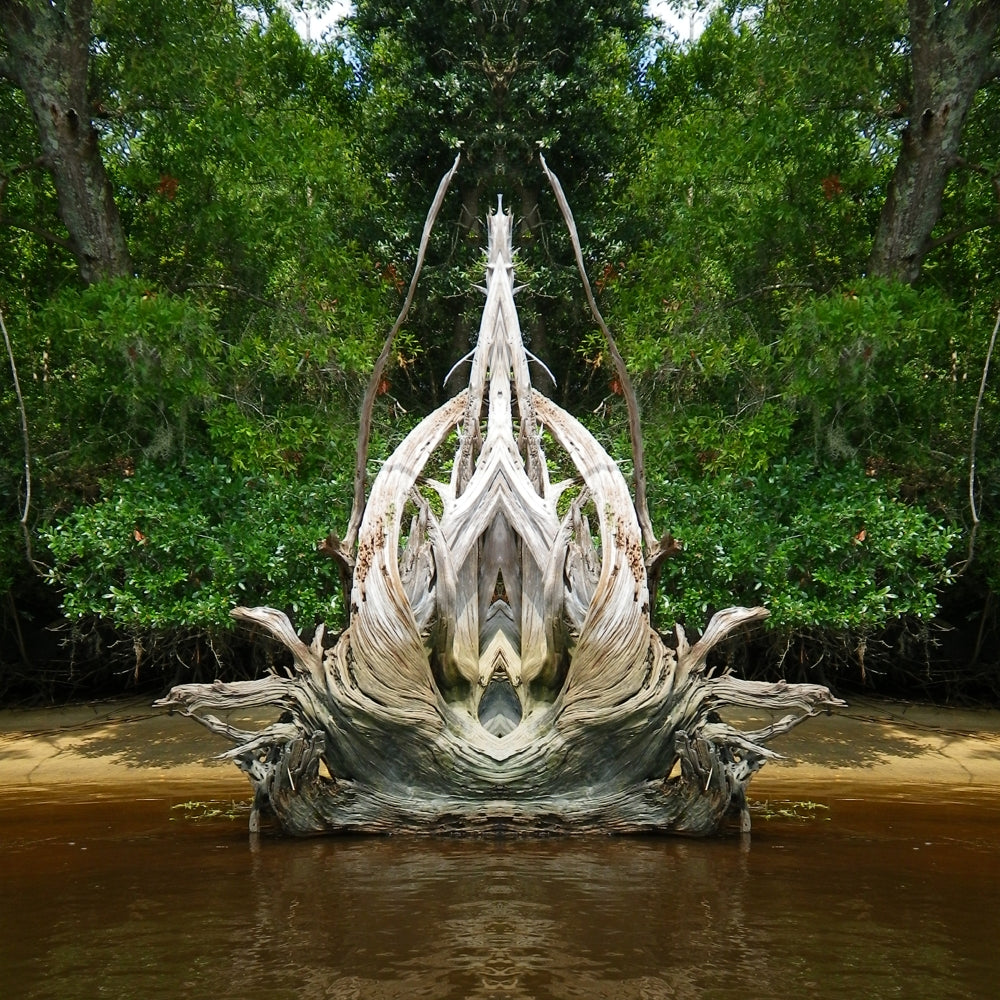 River Wood