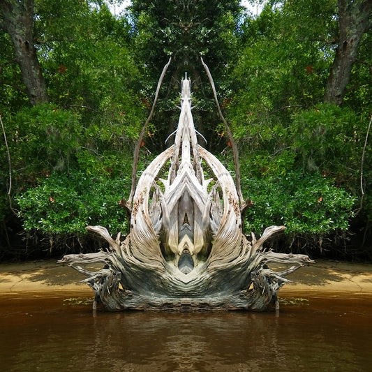 River Wood