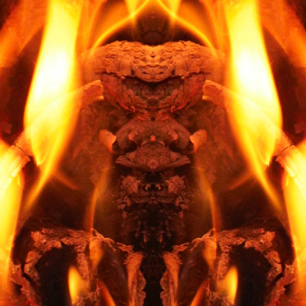 Fire King