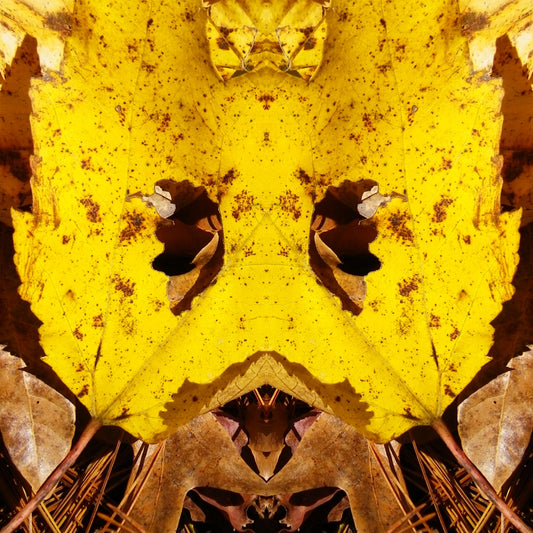 Leaf Creature