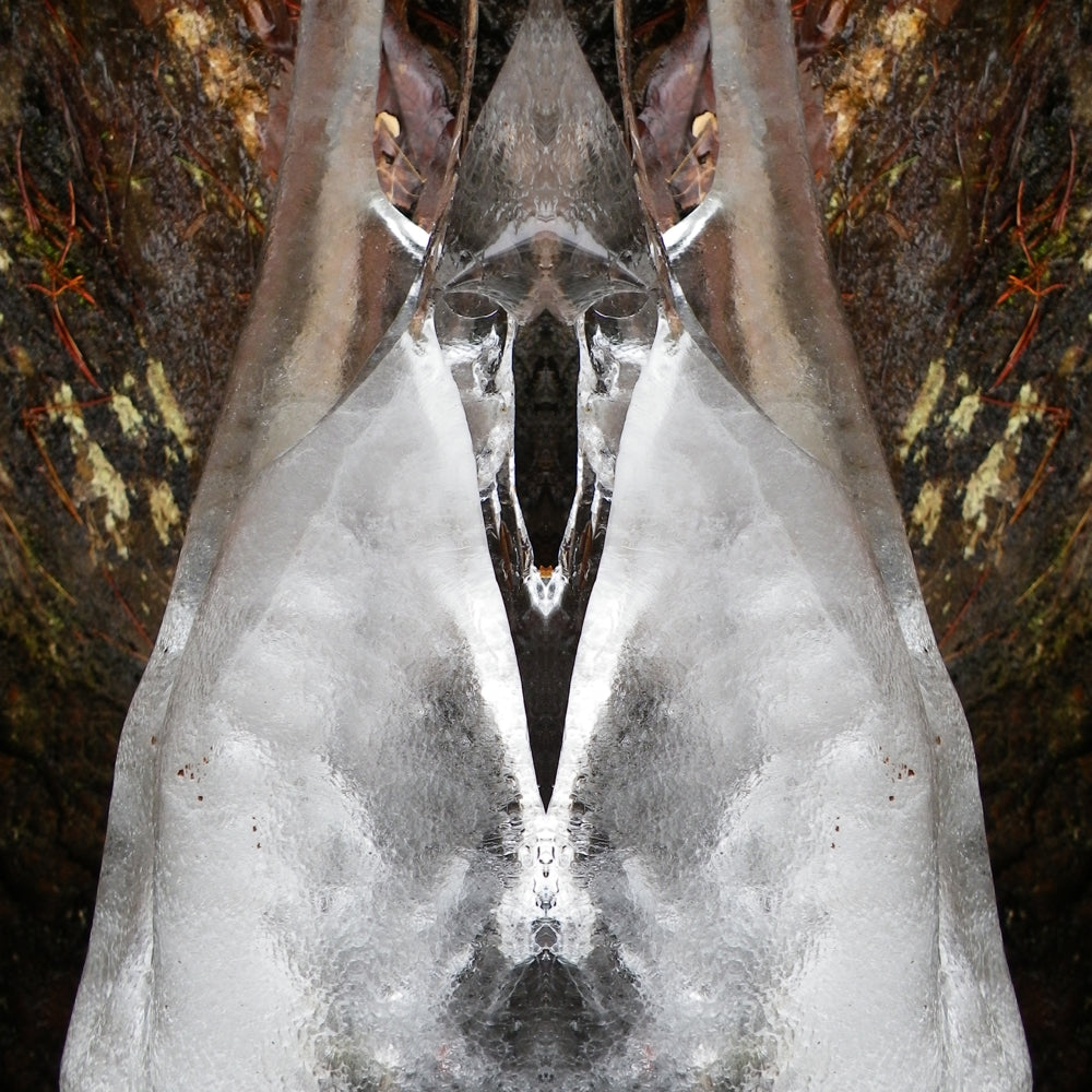 Ice Bat