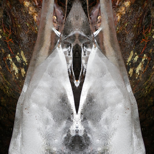 Ice Bat