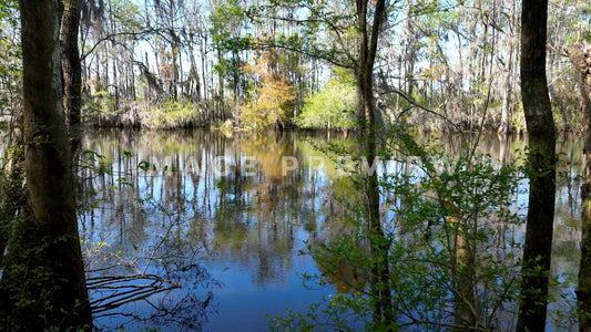 4k Still Frame - Johnsonville, SC peaceful Lynches River in low country marshland
