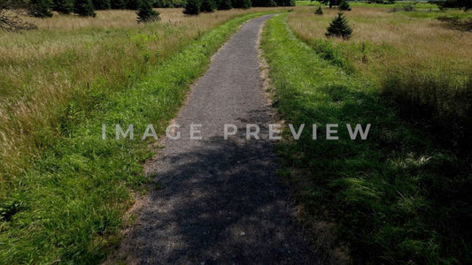 4k Still Frame - Braddock Bay, NY peaceful pathway for walking and relaxing in nature