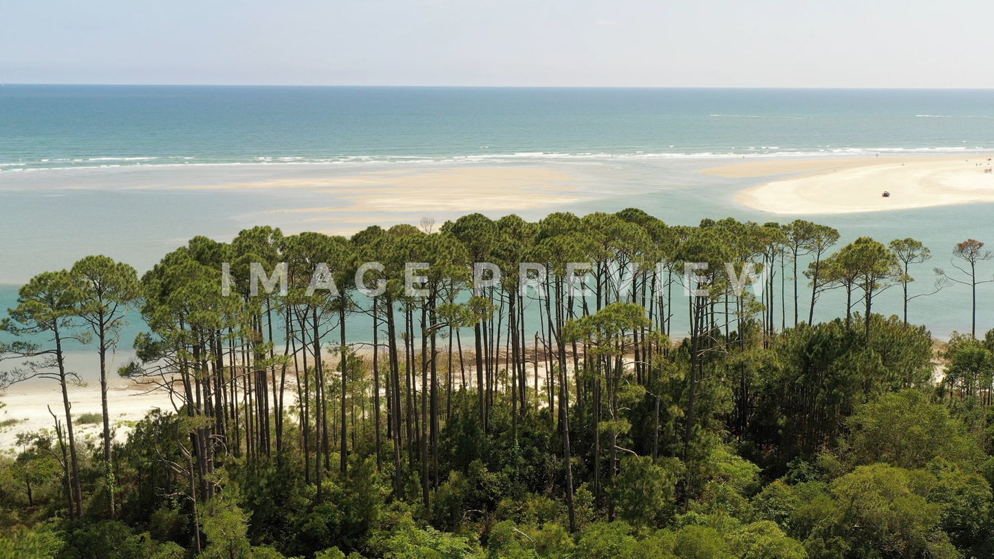 stock photo waties barrier island cherry grove sc