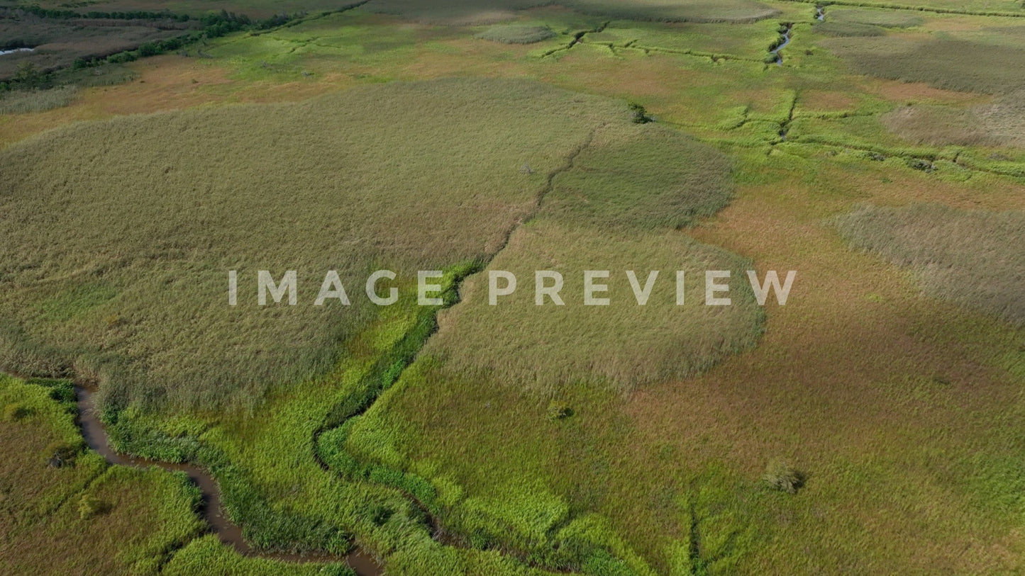stock photo historic rice field georgetown sc
