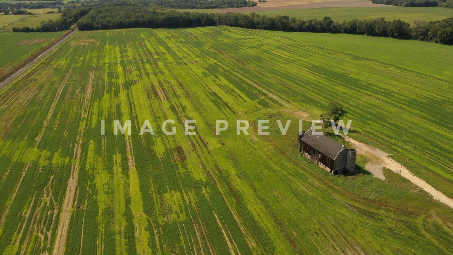 stock photo barn in green field