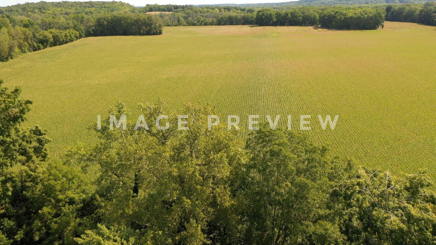 stock photo corn field new york state