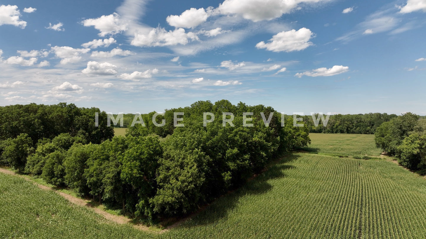stock photo landscape with cornfield up state new york