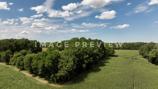 stock photo landscape with cornfield up state new york